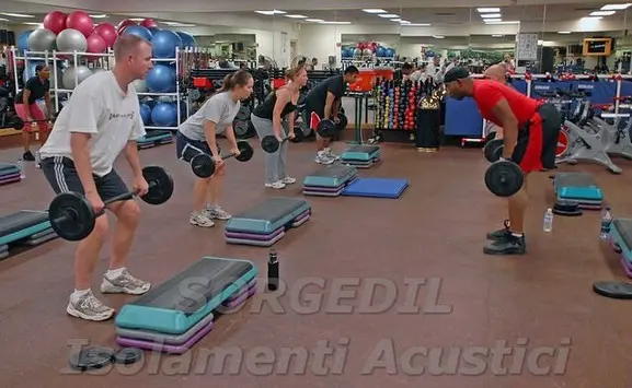 Scopri i requisiti normativi e i limiti di rumore applicabili alle palestre e ai centri fitness, con una guida dettagliata per garantire un ambiente acustico conforme e piacevole.