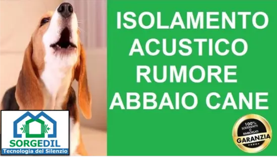 Isolamento Acustico Efficace per Combattere l'Abbaio dei Cani